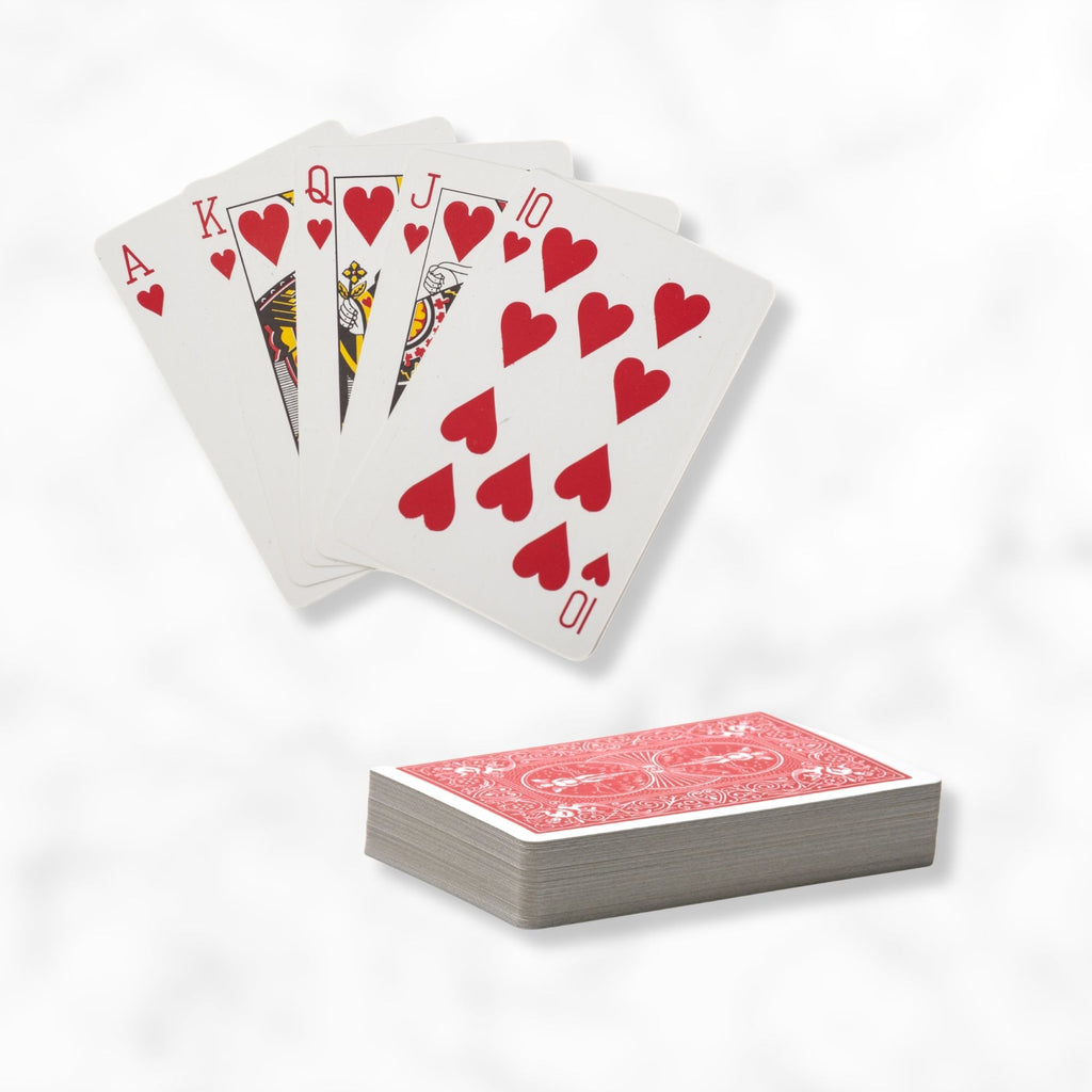 Standard Deck of Braille Playing cards